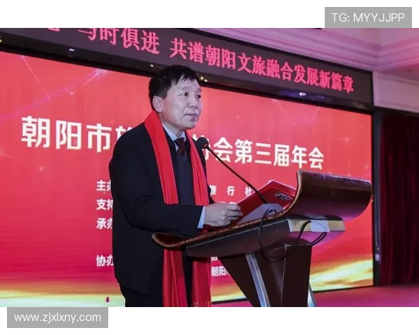 武汉三镇协同发展新格局探索推动城市经济文化多元化融合新篇章