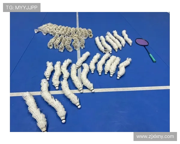 网球运动的技巧提升与战术应用全面解析助力你成为球场高手