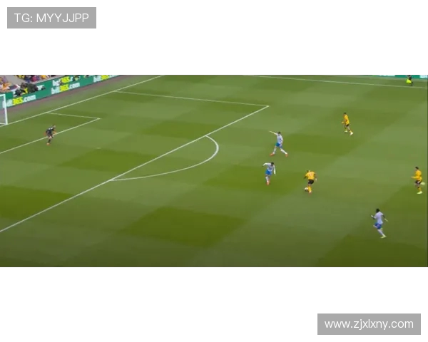 武汉滑板队反击战术解析与实战应用全景剖析