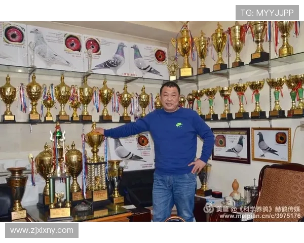 2017赛季国王队与魔术队精彩对决回顾与分析