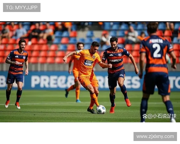 2019年布里斯班对阵惠灵顿的精彩赛事回顾与分析